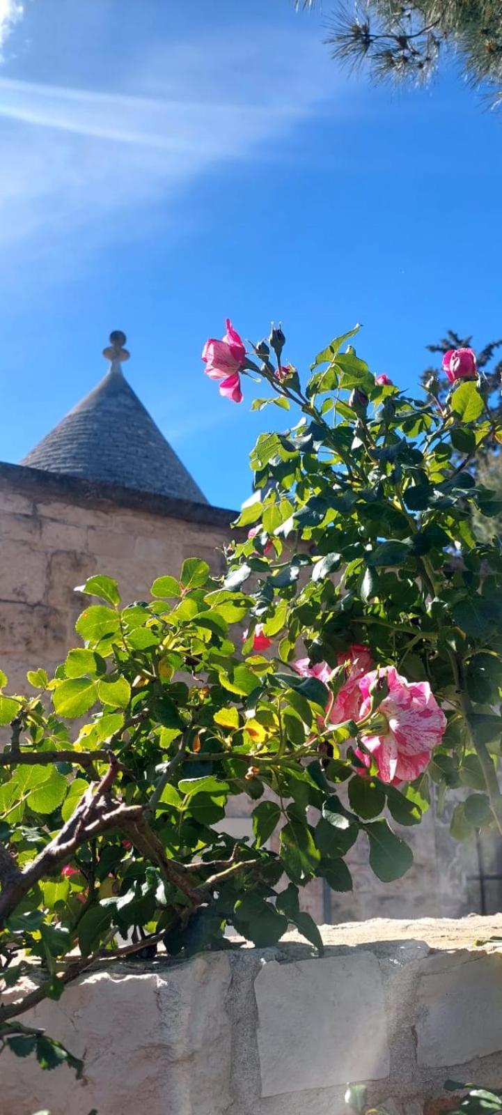 Il Trullo Delle Rose, Monopoli By Il Pumo Di Puglia Villa Cozzana Kültér fotó